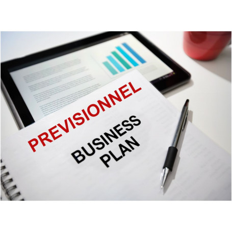 Business Plan + Prévisionnel amexfrance Créateur